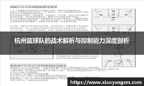 杭州篮球队的战术解析与控制能力深度剖析